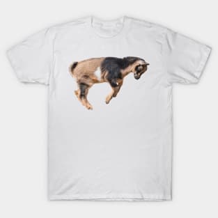 Bouncing Baby Goat 6 T-Shirt